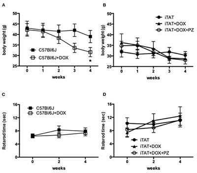 Prevention of HIV-1 TAT Protein-Induced Peripheral Neuropathy and Mitochondrial Disruption by the Antimuscarinic Pirenzepine